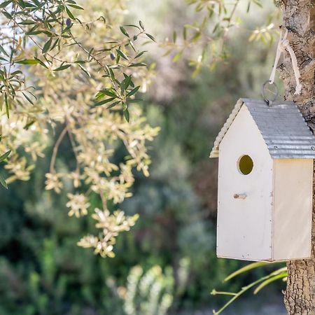 Son Pusseta Villa Petra  Ngoại thất bức ảnh
