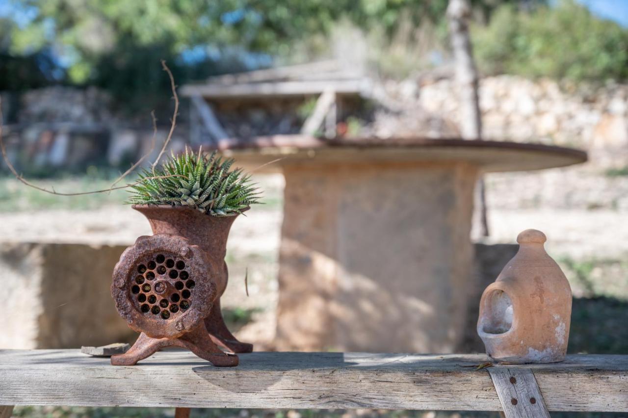 Son Pusseta Villa Petra  Ngoại thất bức ảnh